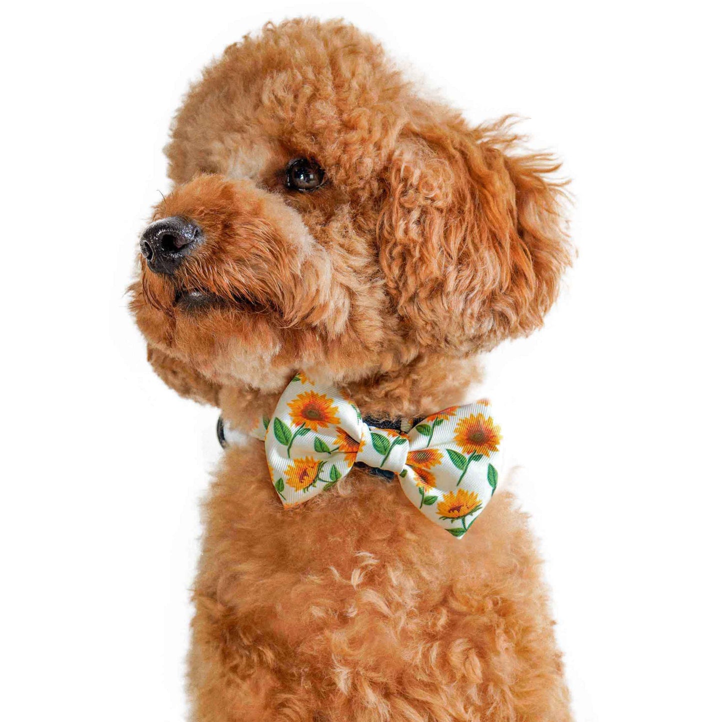 Bow Tie - Sunflower