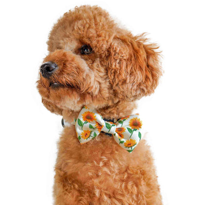 Bow Tie - Sunflower