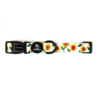 Bundle - Sunflower