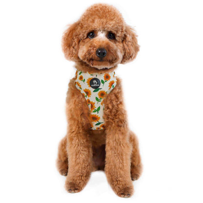 Adjustable Harness - Sunflower
