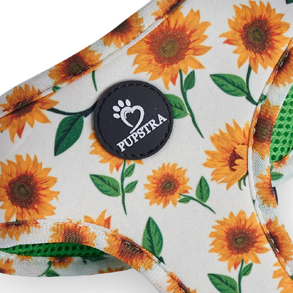 Bundle - Sunflower
